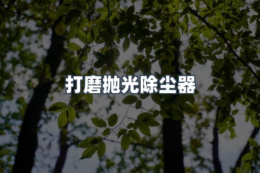 打磨抛光除尘器