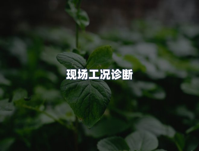 服务优势